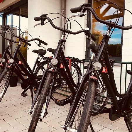 Ibis Brussels East 호텔 3*